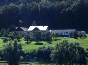 Отель Ferienwohnung Huber  Энгельхартсцелль-На-Дунае